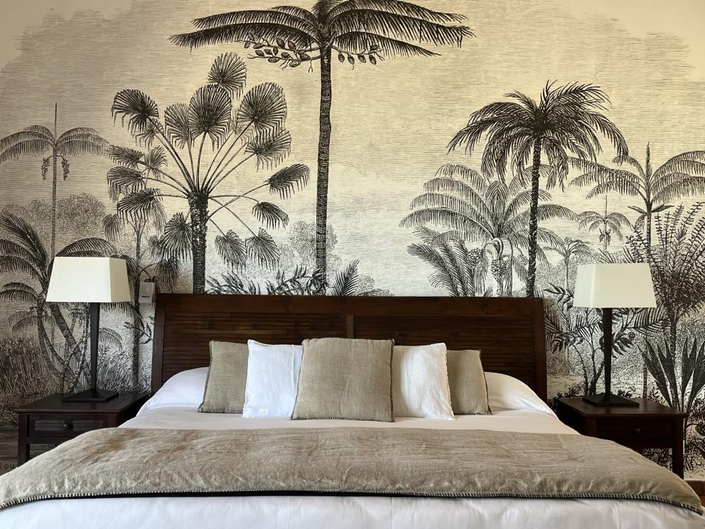 Hôtel Esmeralda Resort - Chambre Deluxe